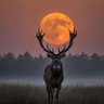 Фото профиля Alex Pham