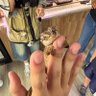 十一月的麦子 的头像