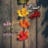 mahmoud 的头像