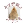 うさぎ沼へようこそ profil fotoğrafı