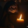 Фото профиля 😾