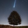 Pixi Dust's profile picture