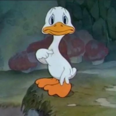 Pato Coitado's profile picture