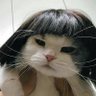 Chacks's profile picture
