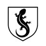 Salamander Slings profil fotoğrafı