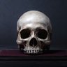 LTJ's profile picture