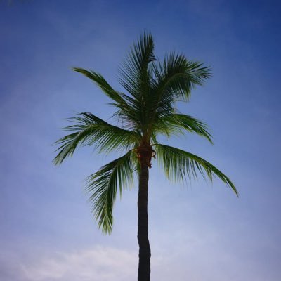 lost1nbkk's profile picture