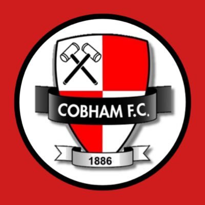 COBHAM FC (C)🏆's profile picture