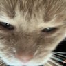 Dylan's profile picture