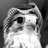 Profilbild von B.