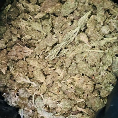 🥵's profile picture