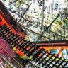 Фото профиля citlalli ortega tapi