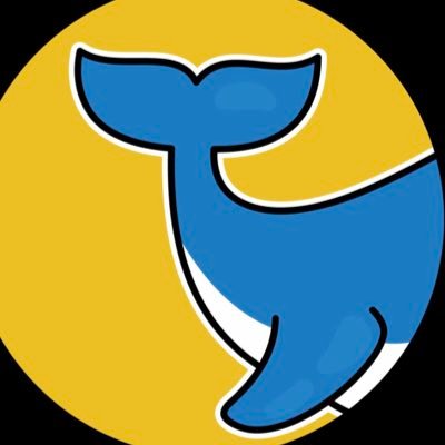 Mr BIG Whale's profile picture