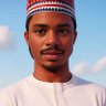 Ibrahim Abubakar Mohammed 的头像