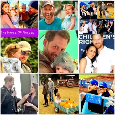#SussexSpartanMegHive🇬🇧's profile picture