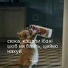 Tуристка 的头像
