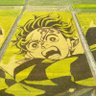 越谷(こしがや)のあきらちゃん 的头像
