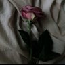 Ela Danial's profile picture