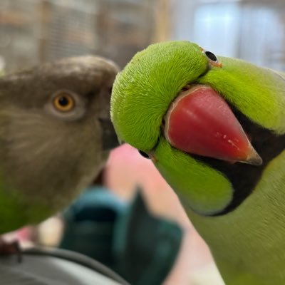 youko023's profile picture