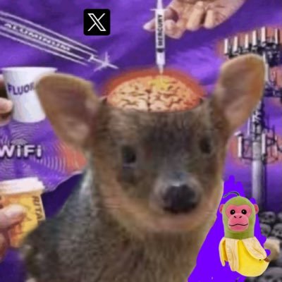 pudú's profile picture