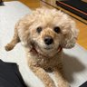 🍊かち🧡's profile picture