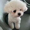 小白 profil fotoğrafı