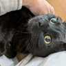 Profilbild von はなママ