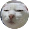 Bar profil fotoğrafı