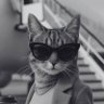 Rina (ZOUROK DAKANOH)'s profile picture
