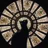 教堂裡的貓's profile picture