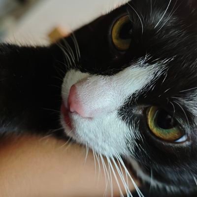 Semi-retired-ing's profile picture
