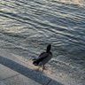 Ann profil fotoğrafı