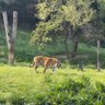 G profil fotoğrafı