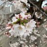 神's profile picture