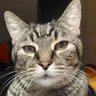 Debi 🦋🎵🇬🇷🇮🇹🎾 profil fotoğrafı