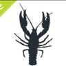 poolsfull's profile picture