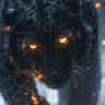 GT NewYorkie's profile picture