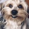 Nacasia's profile picture