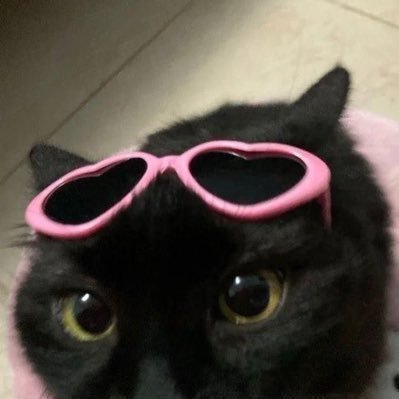 straydpr's profile picture