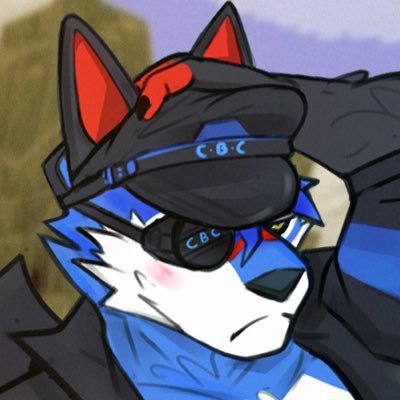 SonicFox's profile picture