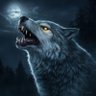 Profilbild von Mr. wolf