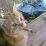 Ricky_kzm profil fotoğrafı