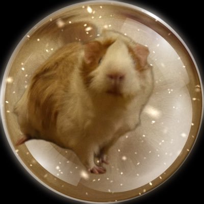 TONYA ||🫧🚨🪽|| EPIC ERA's profile picture