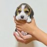 たーちゃん0909 的头像