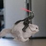 Matou's profile picture