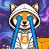 ₿RACKET 🧡 $DOG's profile picture