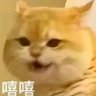 Laoniu's profile picture