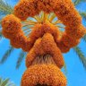 ابراهيم السلطان's profile picture