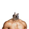 milk-moth's profile picture