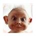 Saša Živić's profile picture